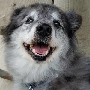 Meet your Posher, Mickie